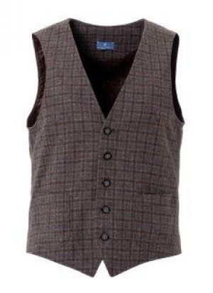 Купить Жилет Pierre Cardin в клетку 48 Песочный (48819/7820) и доставка по Украине